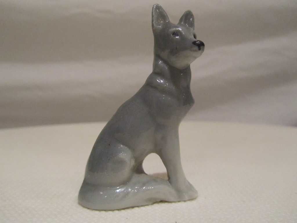 Minature grey dog